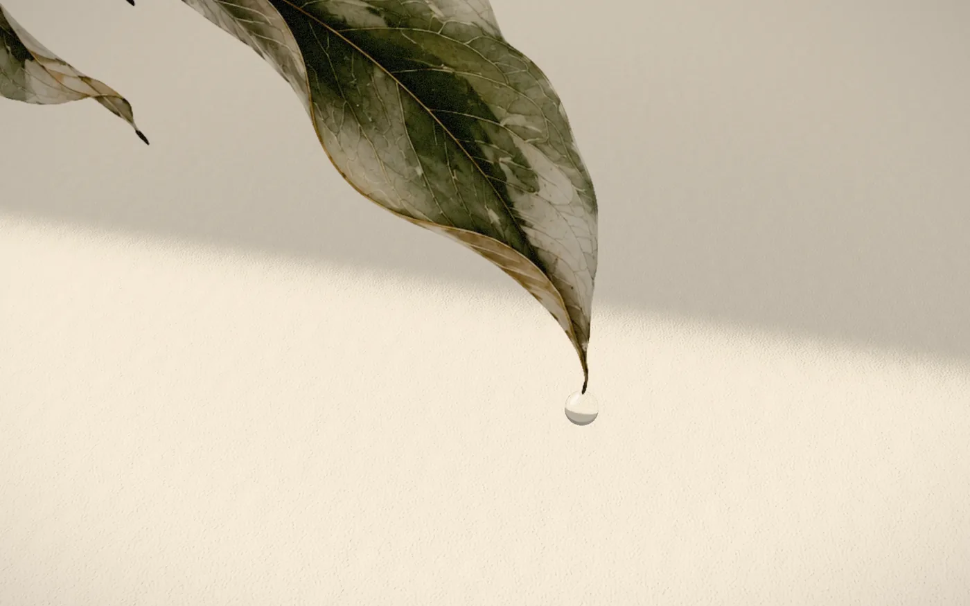 A drop condenses
