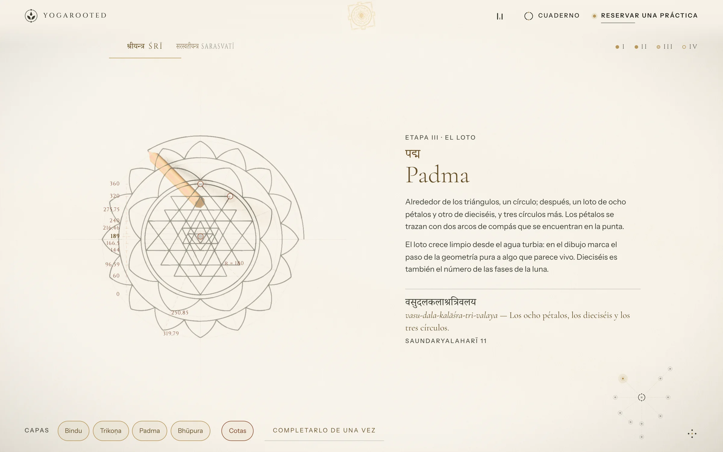 YogaRooted · yogarooted · yantras
